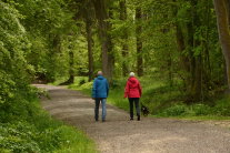 Zwei Spaziergänger mit Hund im Wald