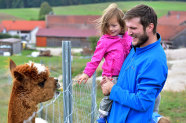 Vater mit Kind am Arm am Zaun bei einem Alpaka