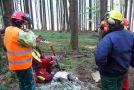 Motorsägen Lehrgang - Erklärung Fallrichtung