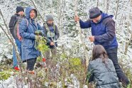 Schüler und Direktor entfernen einen Baum im Moor