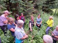 Eine Gruppe von Frauen stehen um junge Bäume herum beim Frauenwaldbegang 2025