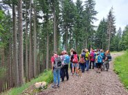 Eine Gruppe von Frauen stehen auf dem Forstweg und schauen in den Bestand