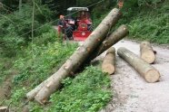 Holz wird mit einer Seilwinde an einem Traktor auf einem Forstweg gerückt.