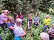 Eine Gruppe von Frauen stehen um junge Bäume herum beim Frauenwaldbegang 2025
