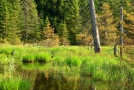 FFH-Gebiet Kempter Wald mit Oberem Rottachtal.