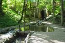 Wasserlauf im Auwaldpfad