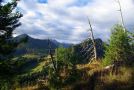 FFH-Gebiet Kienberg mit Magerrasen im Tal der Steinacher Ach 