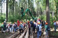 Teilnehmer beobachten die maschinelle Holzernte