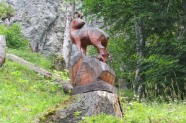 Holzgams im Bergwald