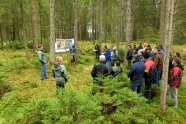 Vorstellung des Managementplans für das FFH-Gebiet „Kempter Wald mit Oberem Rottachtal“