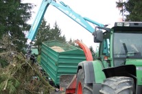 Häckslereinzatz im Privatwald