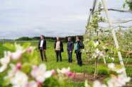 Personen auf einer Wiese vor blühenden Obstbäumen.